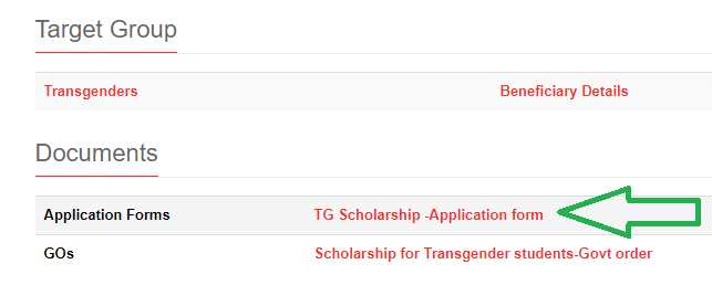 TG Students Scholarship Scheme Form