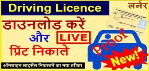 Download and print your driving license online