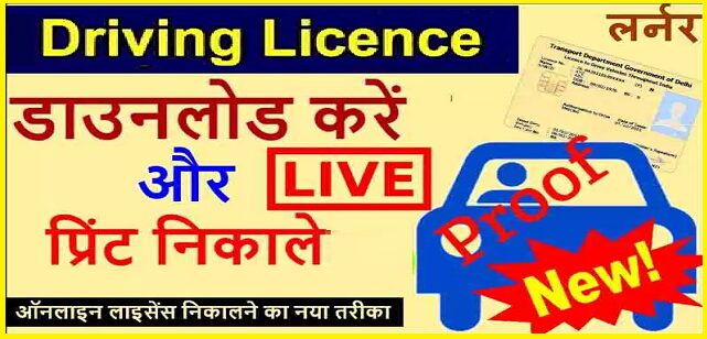 Download and print your driving license online