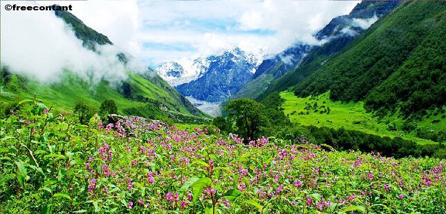 5 natural world heritage sites in india