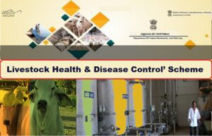 PM Modi Common Livestock Diseases Control Scheme