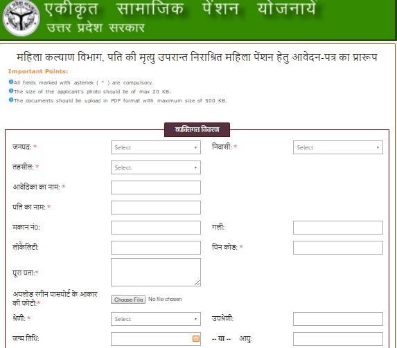 vidhwa pension yojana application form