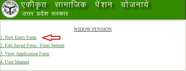 vidhwa pension yojana online form