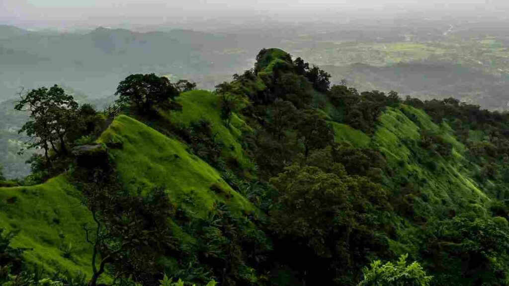 Western Ghats natural world heritage