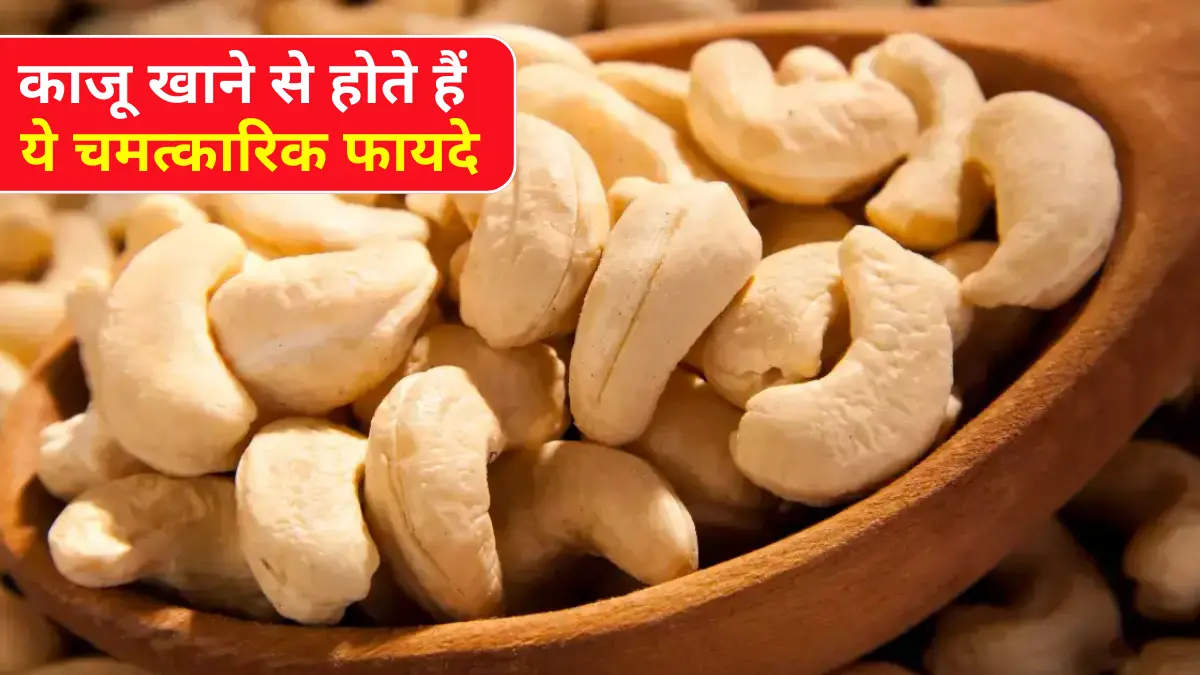 Cashew Benefits काजू खाने से शरीर की ये परेशानियां होंगी खत्म, देखें