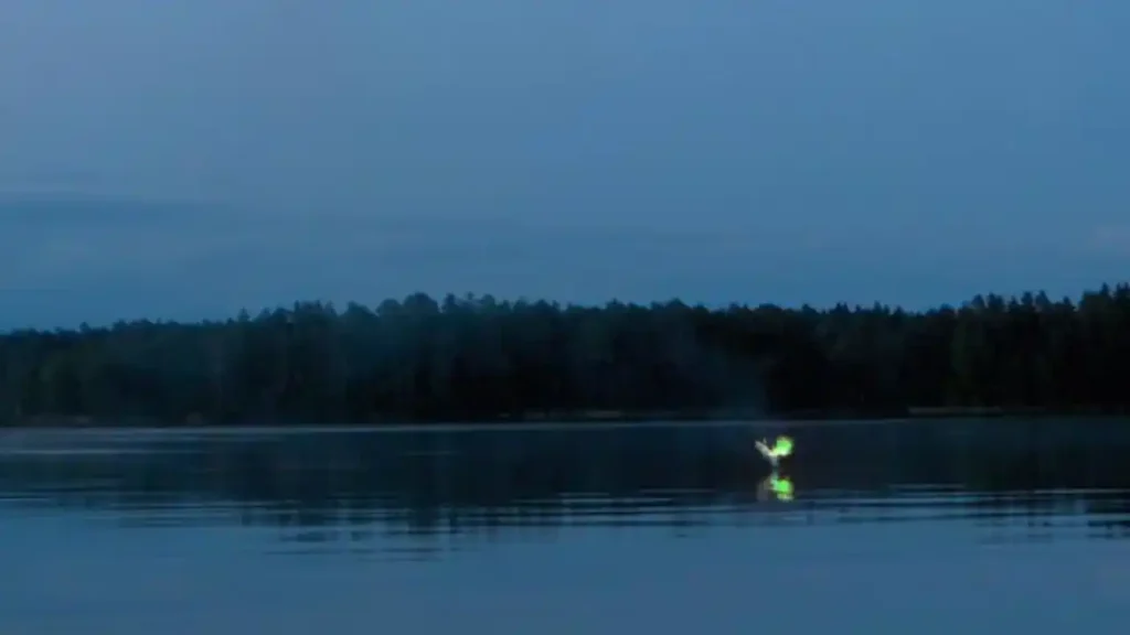 Top 10 Natural Wonders in India चौंक जाएंगे जब आप देखेंगे इन 10 अद्भुत स्थलों को 6 Aleya Ghost Lights, Sundarbans