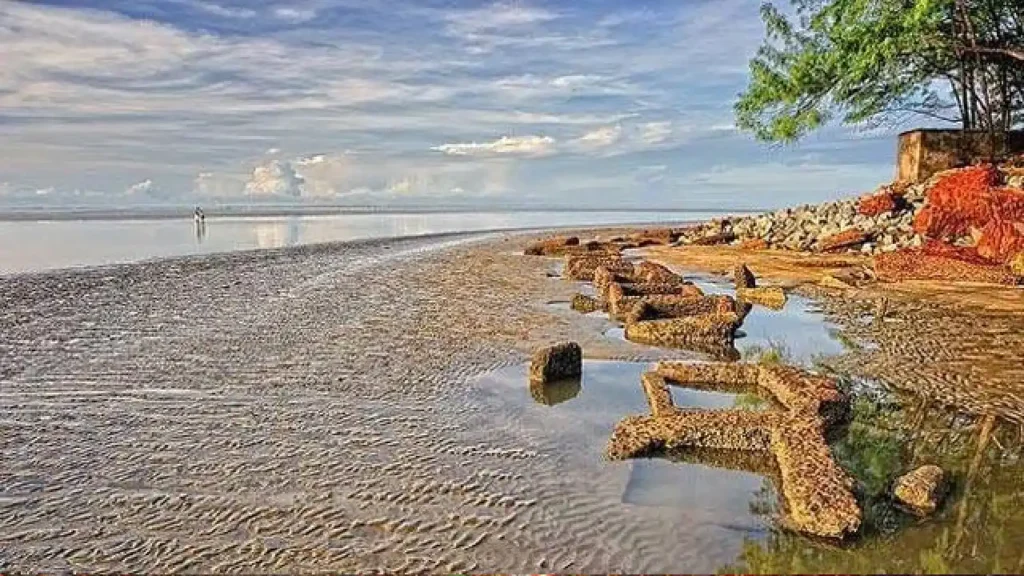 Top 10 Natural Wonders in India चौंक जाएंगे जब आप देखेंगे इन 10 अद्भुत स्थलों को 9 Chandipur Beach, Odisha