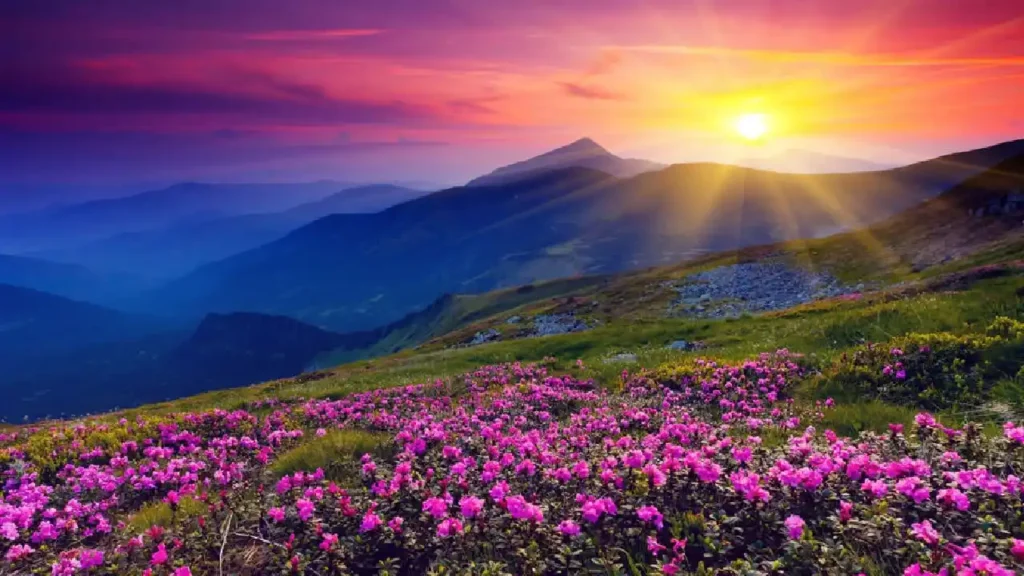 Top 10 Natural Wonders in India चौंक जाएंगे जब आप देखेंगे इन 10 अद्भुत स्थलों को 11 Valley of Flowers Uttarakhand