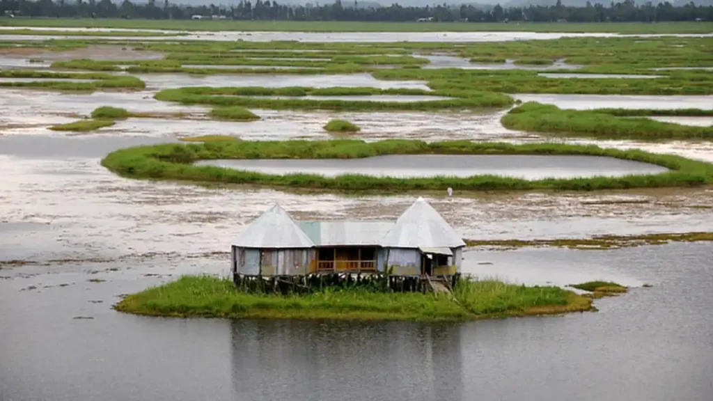 Top 10 Natural Wonders in India चौंक जाएंगे जब आप देखेंगे इन 10 अद्भुत स्थलों को 5 floating island loktak lake manipur