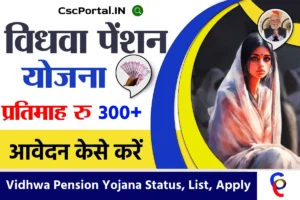 Vidhwa Pension Yojana