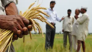 Bihar Rajya Fasal Sahayata Yojana Online Apply कैसे करें